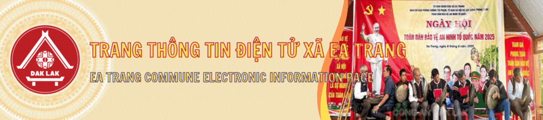 Banner Header Mobile